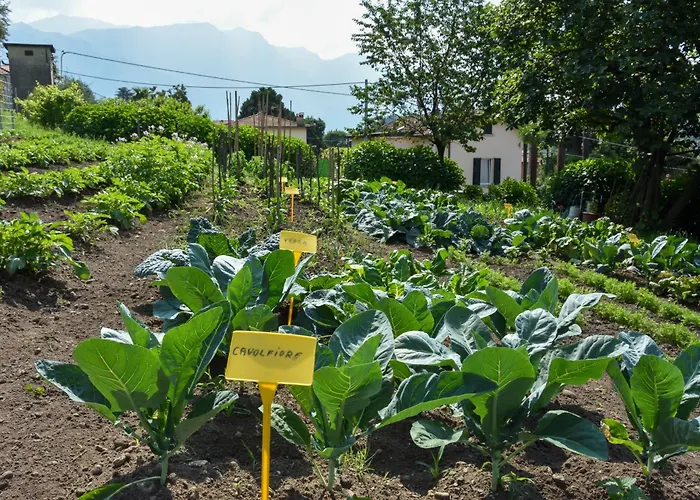 Agriturismo Il Colle Bellagio